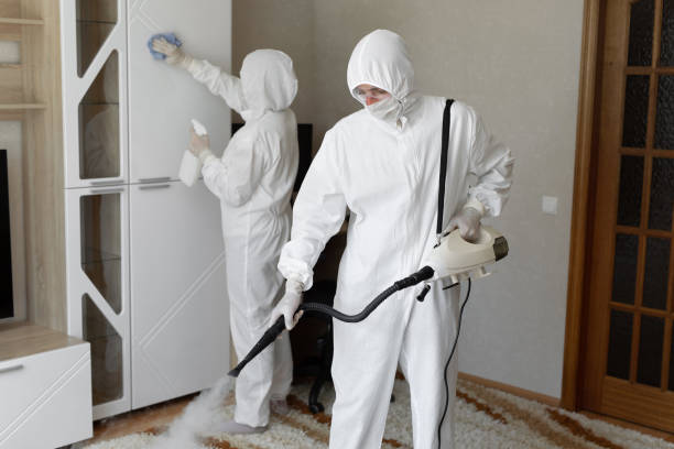 Best HVAC Mold Remediation in Perry, MI