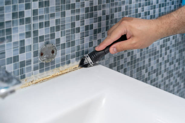 Best Basement Mold Remediation in Perry, MI